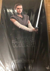 Hot Toys Star Wars: The Last Jedi - Rey (Jedi Training) MMS446